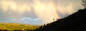 longrainbow