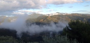 IMG_1622