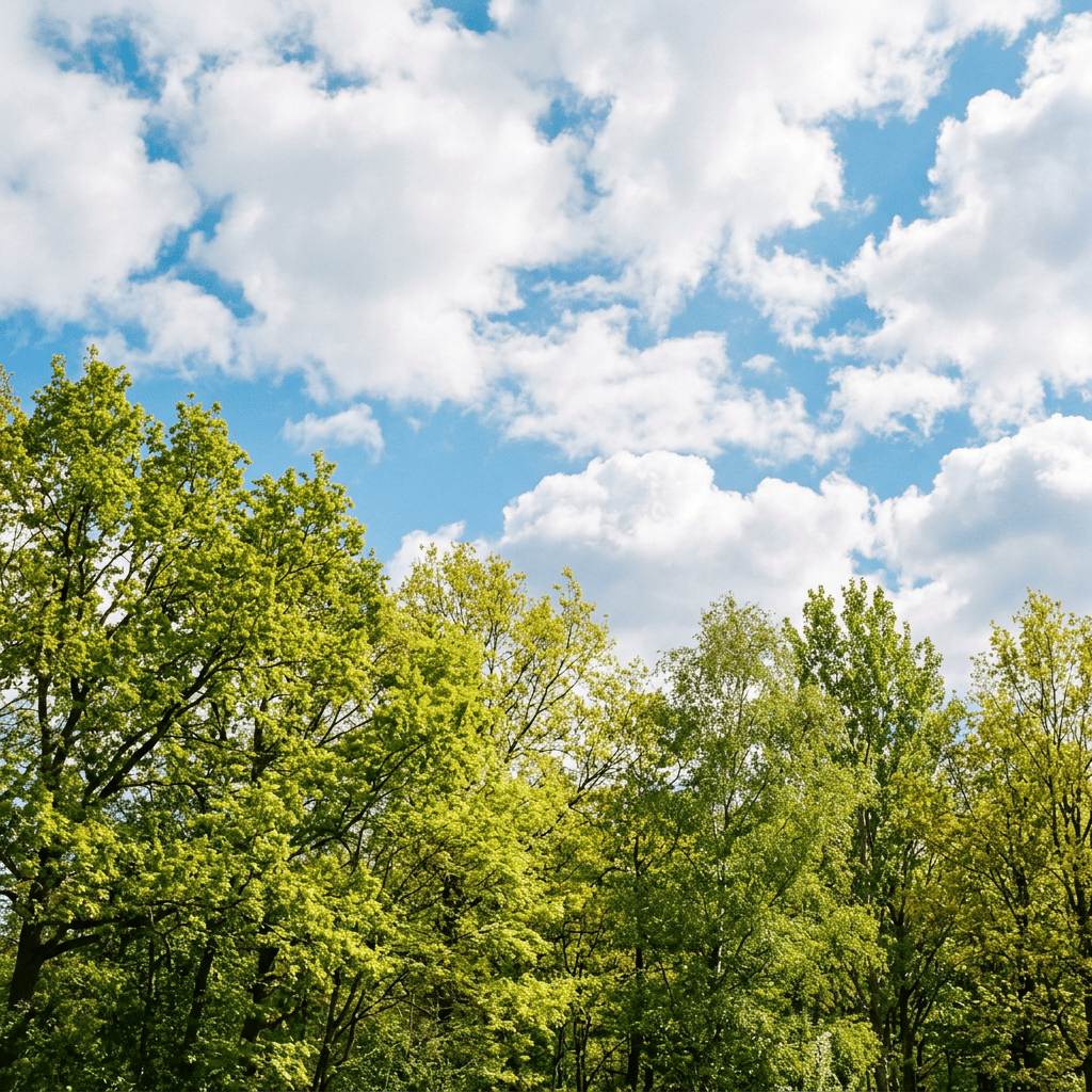 Spring Awakening – a revised poem by Ardhan&nbsp;Swatridge